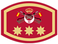 Divisa de coronel del Ejército Español