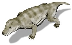 Representación de Thrinaxodon en estratos del Triásico Inferior