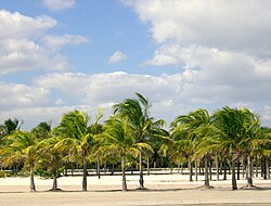 Playas turísticas de Florida