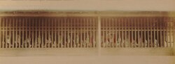 Fotografía histórica de prostitutas tras una reja en Shizuoka, Japón, tomada por Kusakabe Kimbei c. 1890