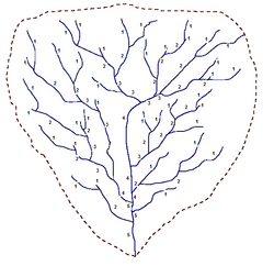 Diagrama de una cuenca de quinto orden