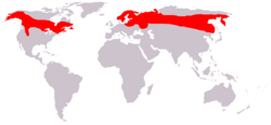 Mapa de distribución geográfica de Alces alces