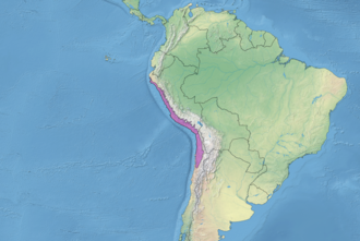 Esquema cartográfico del desierto del Pacífico