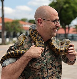 Una anaconda verde interactuando con personal militar.