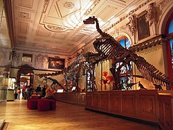 Sala de dinosaurios en el Museo de Historia Natural de Viena