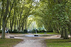 Paseo de Chamars