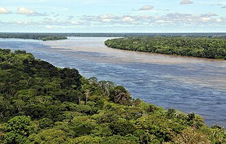Selva amazónica en las proximidades de Manaos en Brasil