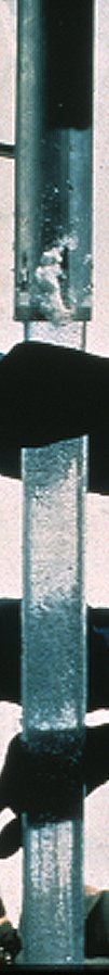Muestra de núcleo de hielo tomada con un taladro