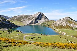 Lago Enol en los Picos de Europa