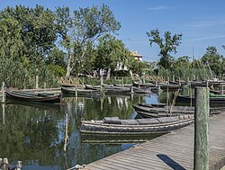 Puerto de Catarroja