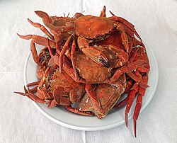 Andaricas del Mar Cantábrico en España