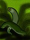 Variedad anatómica dentro de la fauna acuática