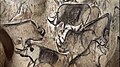 Pintura rupestre de rinocerontes en la Cueva de Chauvet
