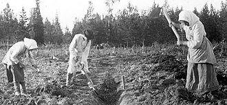 Labradores en el campo finlandés antes de la reforma parlamentaria de 1906.