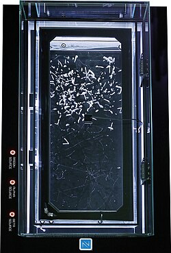 Camara de niebla utilizada como detector de particulas