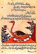 Detalle de un manuscrito de al-Jahiz