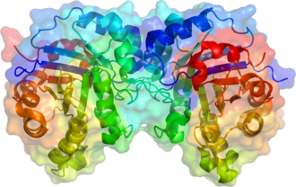 Estructura de la triosafosfato isomerasa