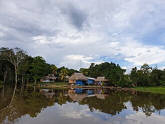 Paisaje selvático de la Amazonía colombiana