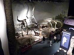 Sala principal del museo