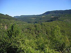 Paisaje montañoso y boscoso con vegetación mixta en el Col de la Tourette