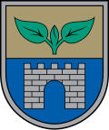Bandera del municipio de Salaspils