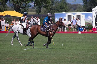 Jugador de polo junto a un árbitro.