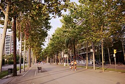 Avenida Diagonal a su paso por el barrio de Provençals del Poblenou