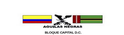 Exintegrantes de las Autodefensas Unidas de Colombia desmovilizados en 2006.
