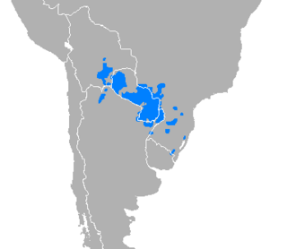 Tabla de resumen de datos generales del idioma guaraní