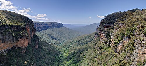 Bosque de las Montañas Azules en Australia.