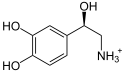 Estructura química de la noradrenalina