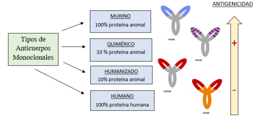 Tipos de anticuerpos monoclonales y su antigenicidad