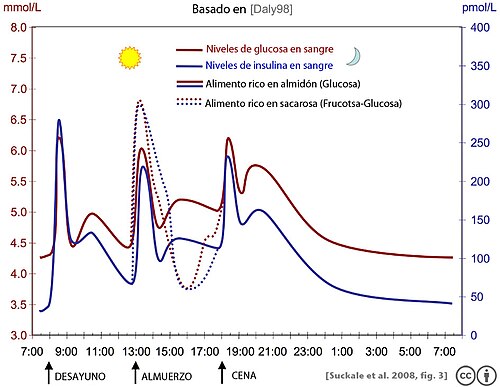 Gráfico de variaciones diarias en los niveles de glucosa e insulina en un sujeto sano.