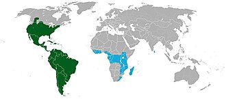 Mapa de distribución original de los cactus