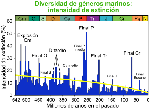 Intensidad aparente en la extinción de géneros marinos a lo largo del tiempo geológico.