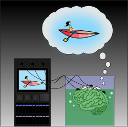 Experimento mental del cerebro en una cubeta