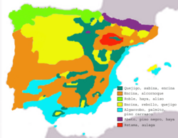 Ocupación potencial de los bosques ibéricos