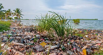 Contaminantes sólidos en el lago de Maracaibo, Venezuela.