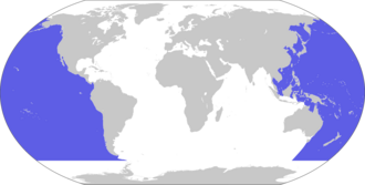 Esquema cartográfico del Pacífico