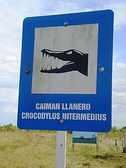 Cartel de advertencia sobre cocodrilos