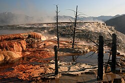 Paisaje del Parque nacional de Yellowstone