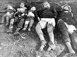 Civiles alemanes mutilados por las fuerzas soviéticas durante la Masacre de Metgethen