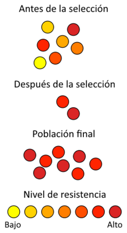 Gráfico de resistencia poblacional