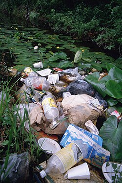 Contaminación por plásticos en un humedal
