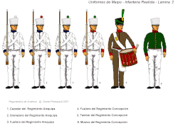 Infantería de la batalla de Maipú con uniformidad color brin