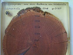 Sección de un tronco de árbol mostrando anillos de crecimiento