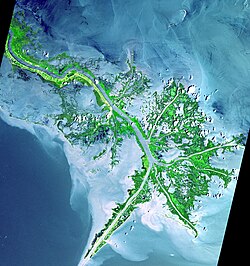 Delta del Misisipi desde el espacio