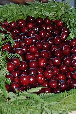Picotas tradicionales del Valle del Jerte en España