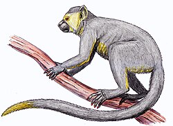 Ilustración detallada de la filogenia de los simios