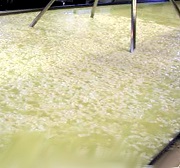 Proteína de suero de leche en polvo